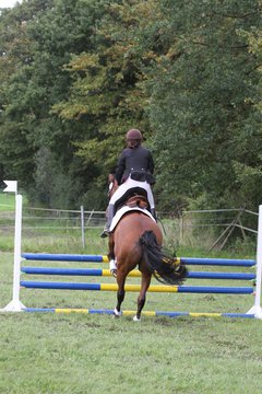 Bild 1346 - WBO-Turnier am 18.9.11